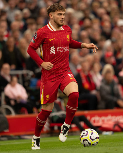 季即將啟動 季即將啟動