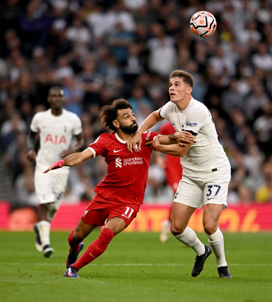 中尤为显著 中尤为显著